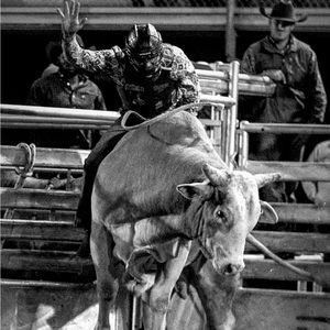 Meet your Posher, Nik